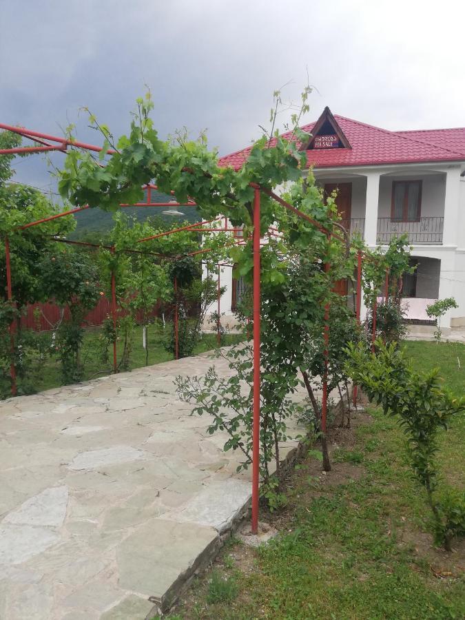 Villa "Zepuri" Dushet'i Exterior photo